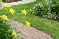 Landscaping Sugarland, TX